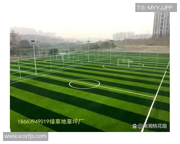 广西人造草足球场建设助力青少年体育发展与健康成长