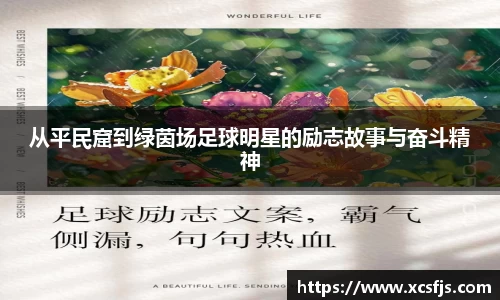 从平民窟到绿茵场足球明星的励志故事与奋斗精神